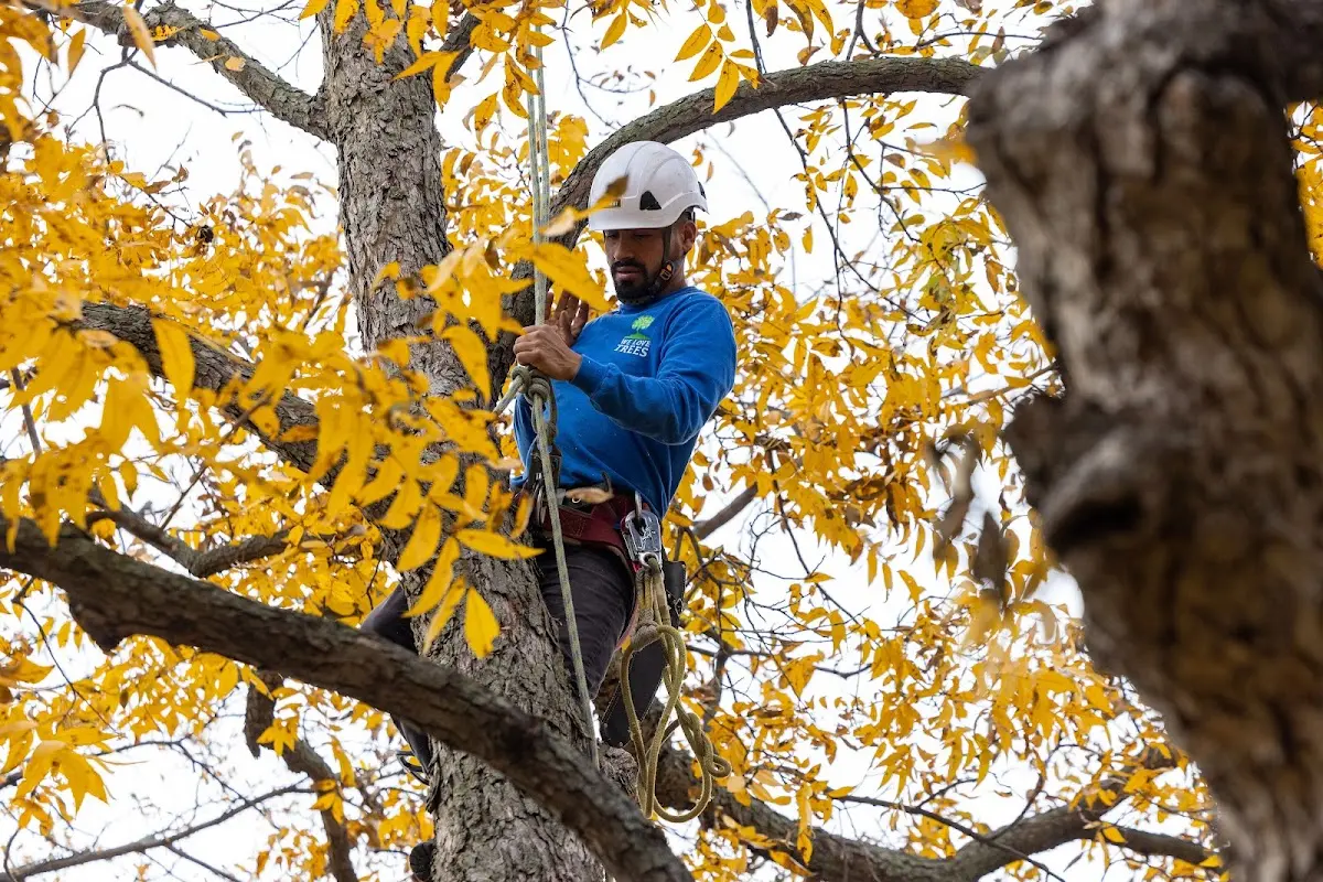 Skilled Storm Damage Cleanup crew working in Pendleton