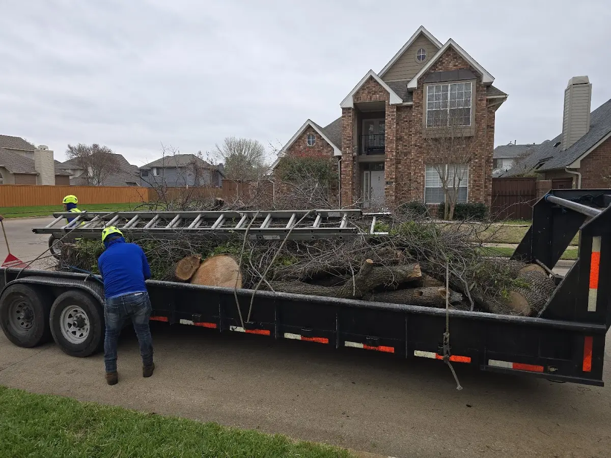Expert Lot Clearing with proper safety equipment in Pendleton